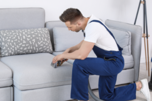 sofa cleaning services