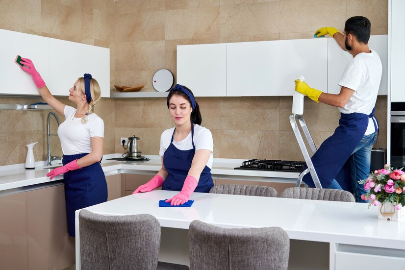 kitchen cleaning services udaipur